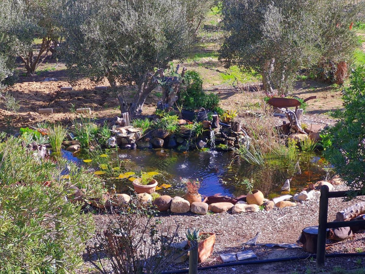 Villa Tarentaal Tulbagh Buitenkant foto